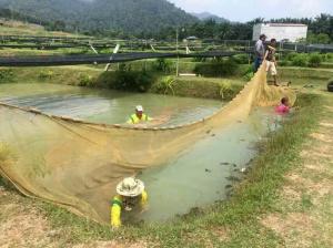 IMG-20160914-WA0054