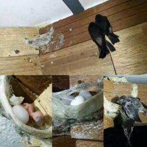 IMG-20160914-WA0053